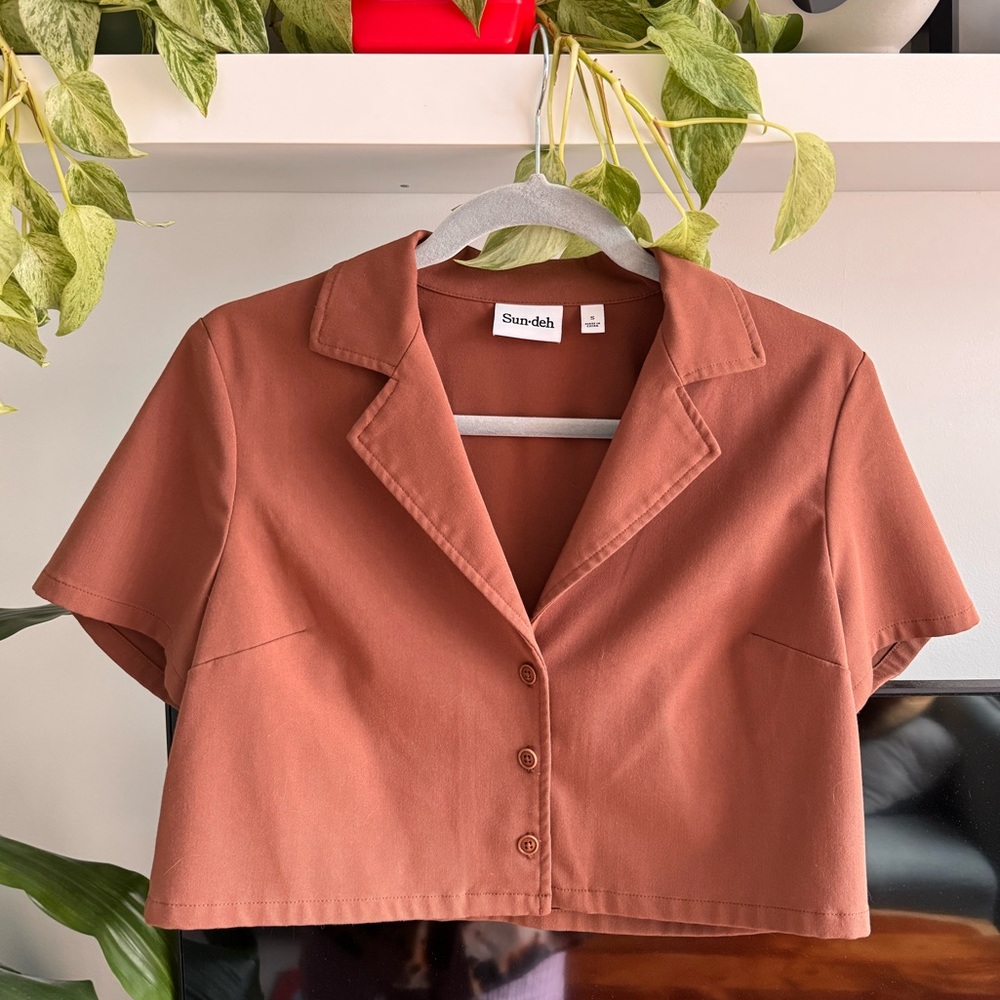 Aritzia Sun Deh Cropped Button Down Shirt